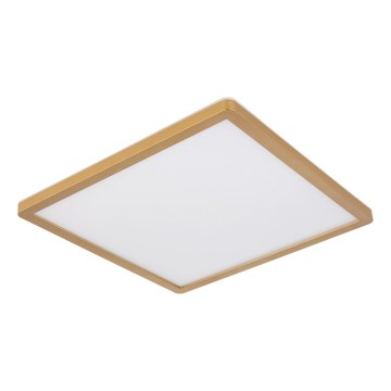 Globo - Plafón de baño LED regulable LED/24W/230V 3000K IP44 42x42 cm latón
