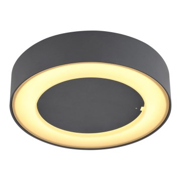 Globo - Plafón LED de exterior LED/12W/230V IP54