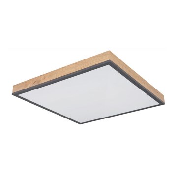 Globo - Plafón LED LED/24W/230V
