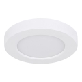 Globo - Plafón LED LED/6W/230V 3000/4000/6500K blanco