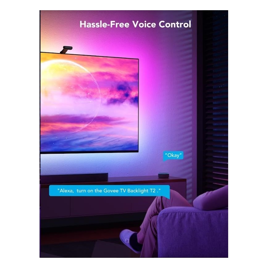 Govee - DreamView T2 DUAL TV 55-65 SMART LED retroiluminación RGBIC Wi-Fi + control remoto