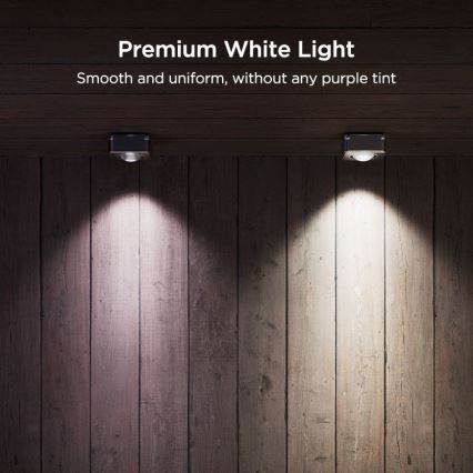 Govee - Guirnalda de focos LED RGBIC 30 m Wi-Fi Matter IP67