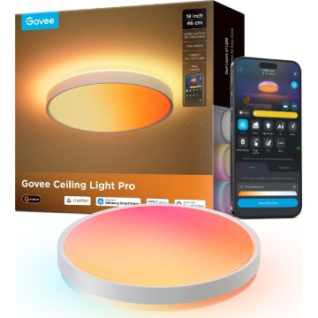 Govee - LED RGBICWW Luminaria de techo regulable LED/55W/230V Ø 46 cm Matter Wi-Fi