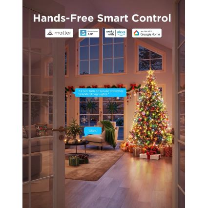 Govee - LED RGBWIC Guirnalda de luces navideñas para exteriores 2700-6500K 30 m Wi-Fi Matter IP65