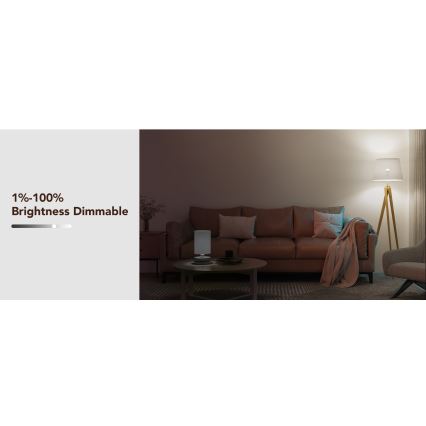 Govee - LED RGBWW Bombilla Inteligente E27/9W/230V 2700-6500K Wi-Fi