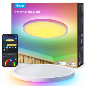 Govee - Luminaria de techo LED RGBICWW regulable, 29W/230V, Ø 30 cm, acabado mate, con Wi‑Fi