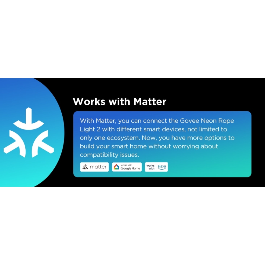 Govee - Neon 2 MATTER tira LED flexible 3 m RGBIC Wi-Fi