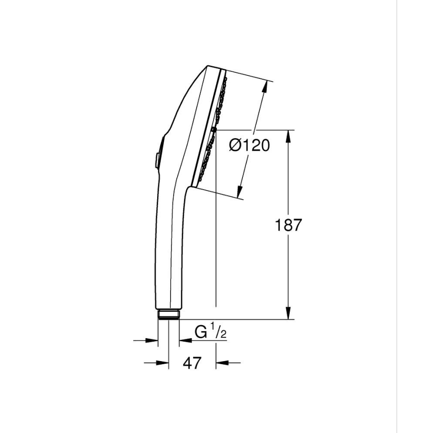 GROHE 134863DC00 - Ducha de mano VITALIO JOY+ 120 mm cromado mate