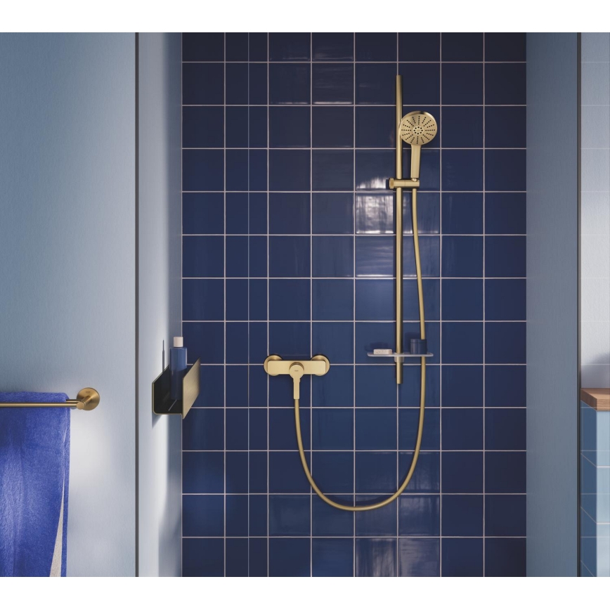 GROHE 134863GN00 - Ducha de mano VITALIO JOY+ 120 mm, acabado en oro cepillado