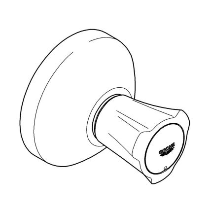 GROHE 19806001 - Pieza superior para válvula empotrada COSTA L 20-200 mm, cromo brillante