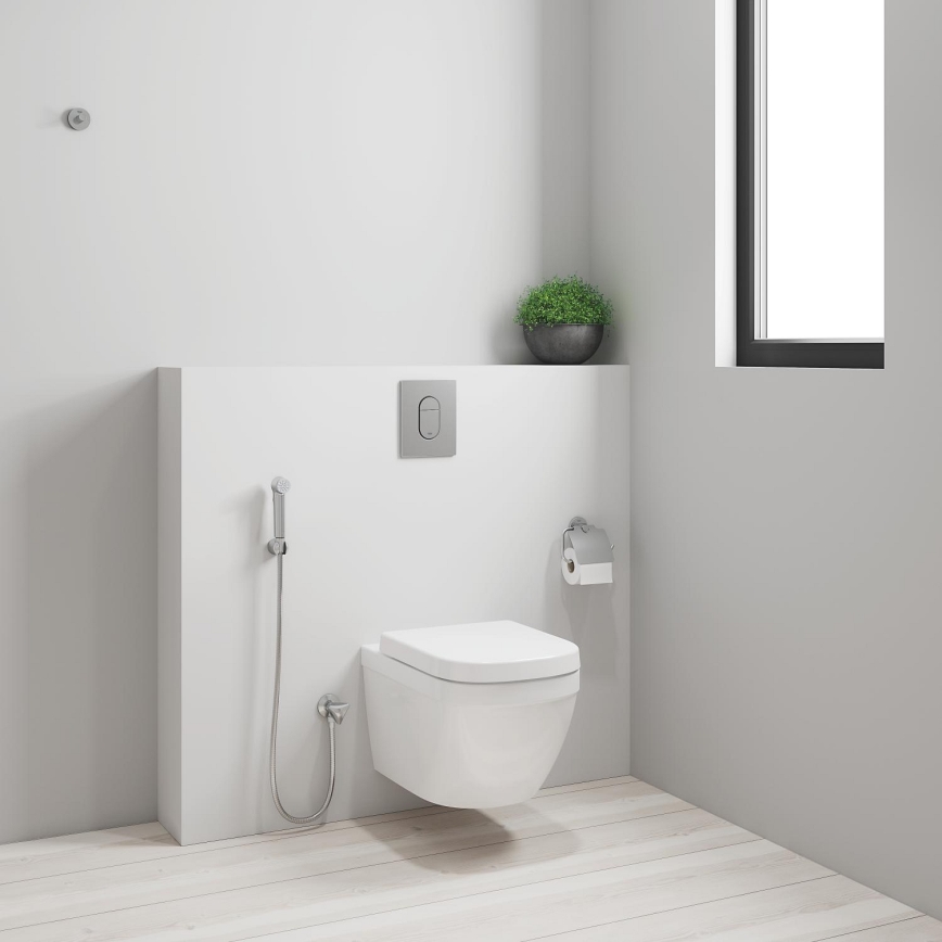 GROHE 26354000 - Ducha de mano TEMPESTA-F 1250 mm, cromo brillante