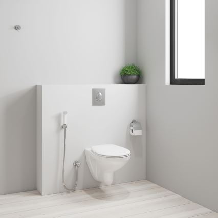 GROHE 26356IL0 - Rociador de mano para bidé TEMPESTA-F 30 1250 mm cromo brillante