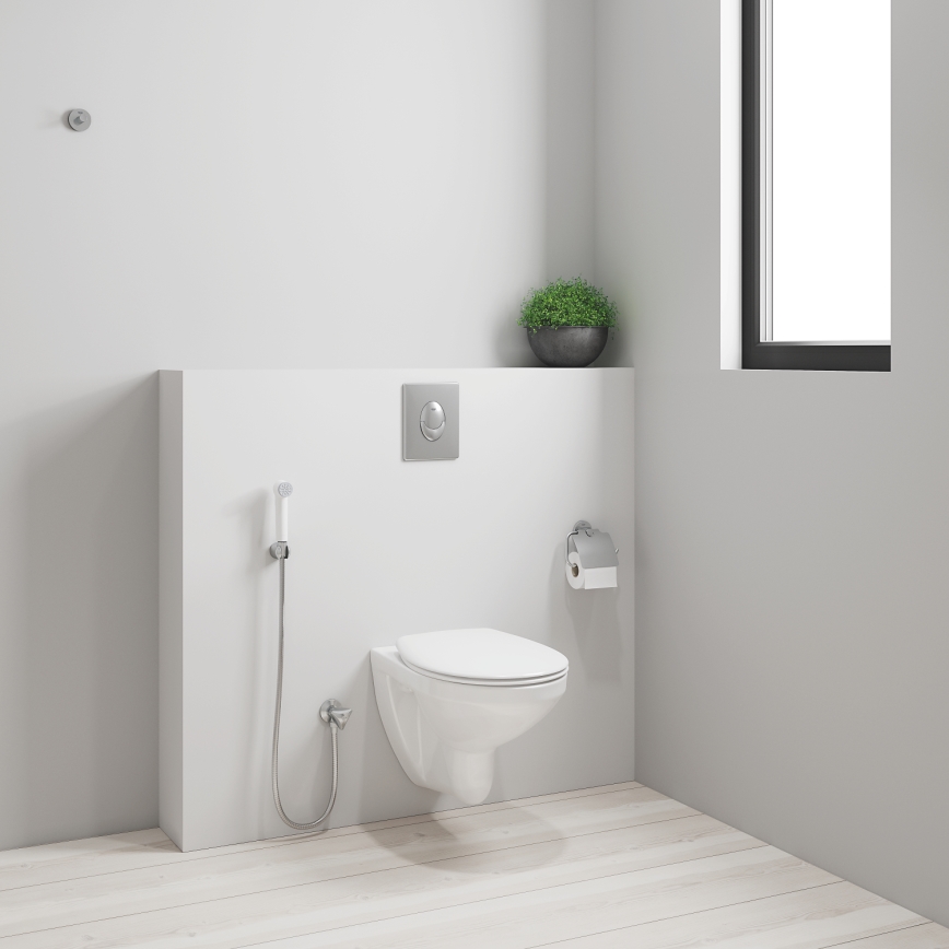 GROHE 26356IL0 - Rociador de mano para bidé TEMPESTA-F 30 1250 mm cromo brillante