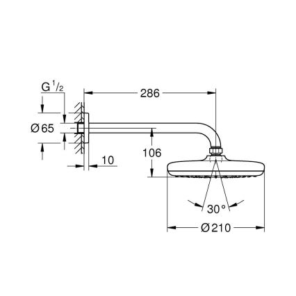 GROHE 26412000 - Rociador de ducha TEMPESTA 210 286 mm, acabado cromado brillante