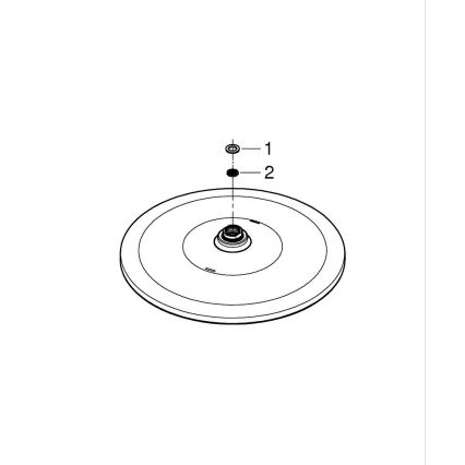 GROHE 26561000 - Cabezal de ducha RAINSHOWER 310 mm, cromo brillante