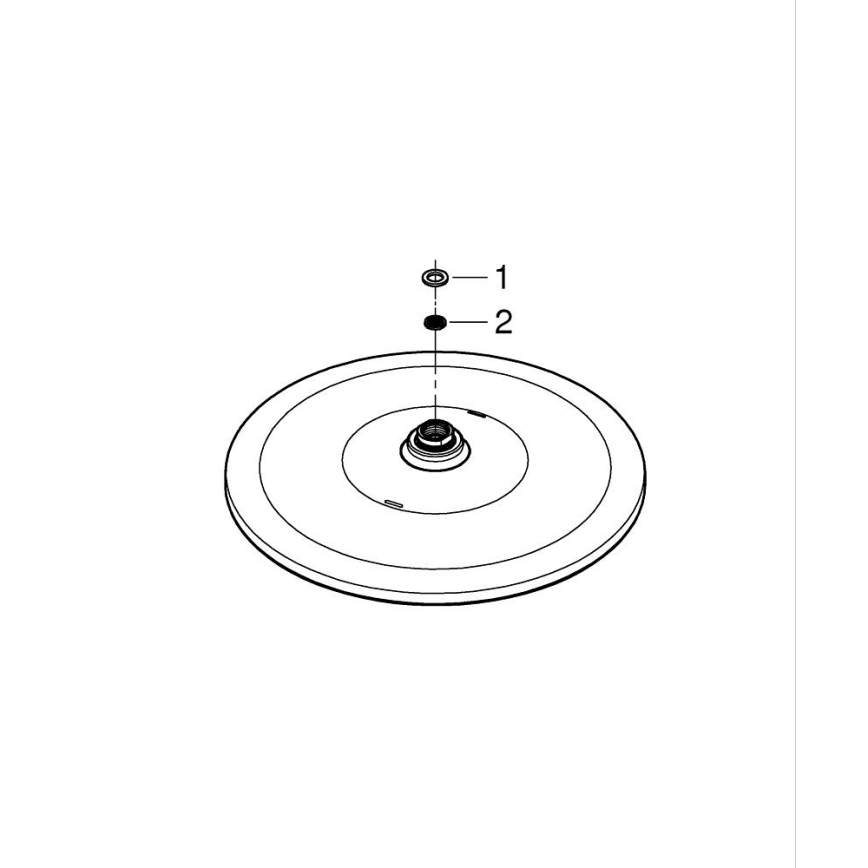 GROHE 26562000 - Cabezal de ducha RAINSHOWER MONO 310 mm cromo brillante