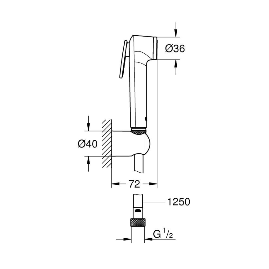 GROHE 27513A01 - Ducha de bidé TEMPESTA-F 1250 mm grafito