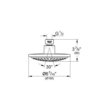 GROHE 28233000 - Cabezal de ducha EUPHORIA COSMOPOLITAN 160 cromo brillante