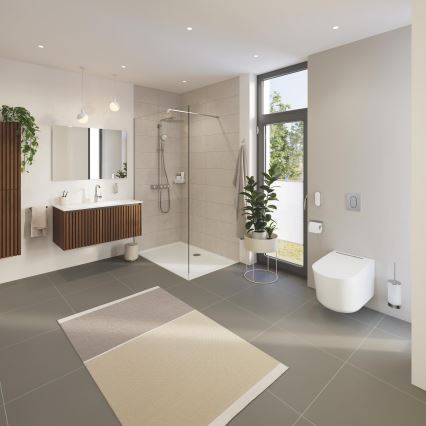 GROHE 41076000 - Set de limpieza para inodoro SELECTION, cromo brillante