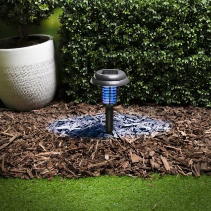 Grundig - Lámpara solar LED y trampa para insectos con LED UV/1xAA 600 mAh IPX4