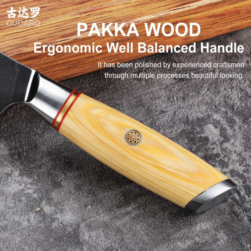 Gudaro - Cuchillo de chef Damasco HIKARI 8, 67 capas de acero, longitud de 20 cm