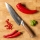 Gudaro - Cuchillo de chef Damasco TAKUMI 8