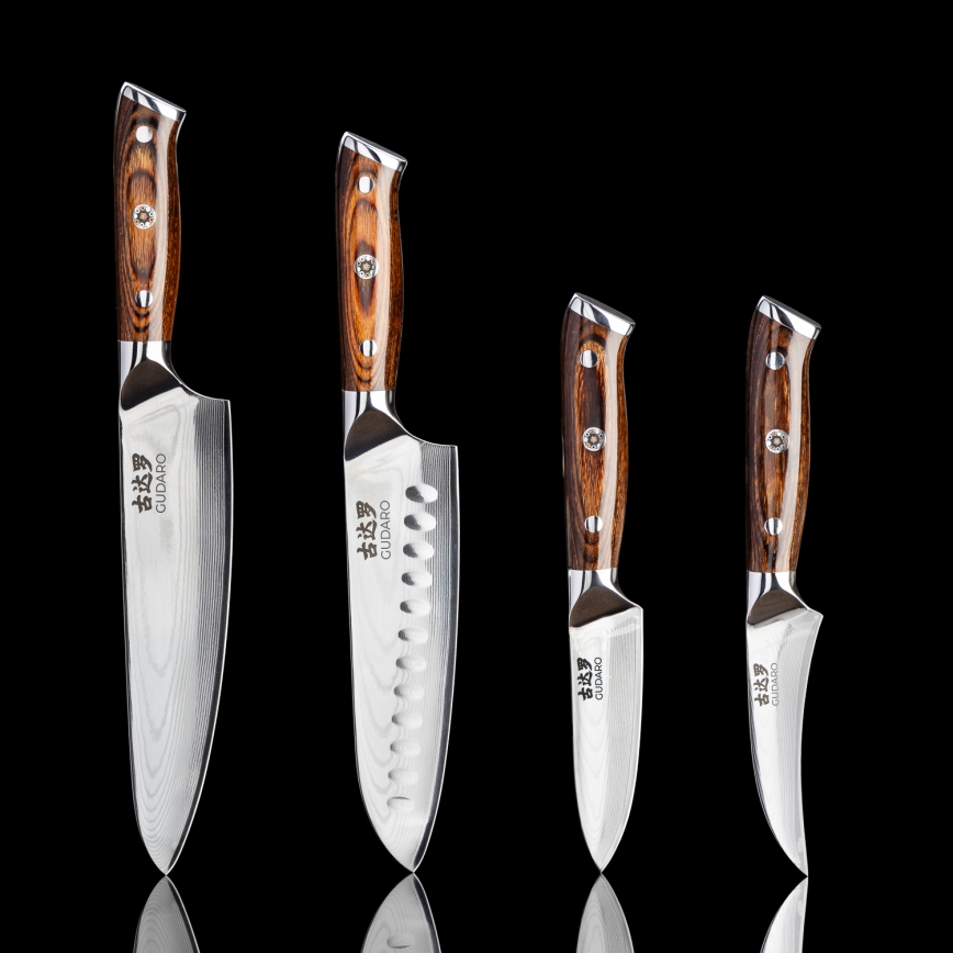 Gudaro - Cuchillo de chef de damasco FENG 8, 67 capas de acero, longitud 20 cm