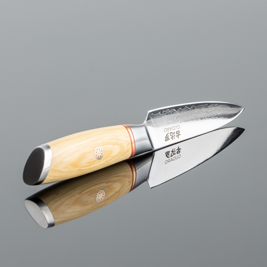 Gudaro - Cuchillo de cocina damasco HIKARI 3,5, 67 capas de acero, longitud de la hoja 9,5 cm