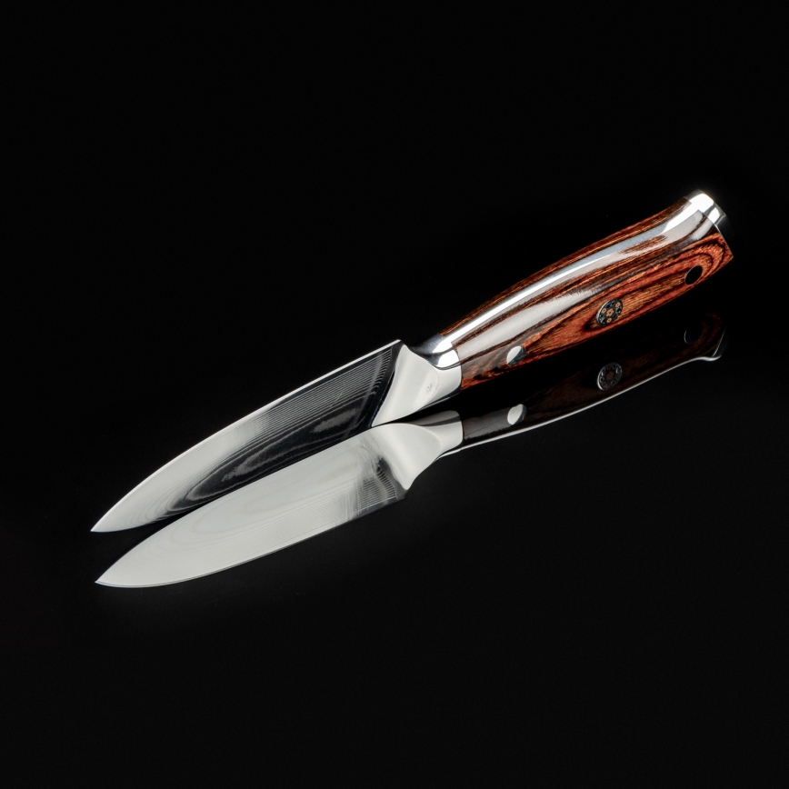 Gudaro - Cuchillo de cocina de damasco FENG 3,5, 67 capas de acero, longitud de 9,5 cm
