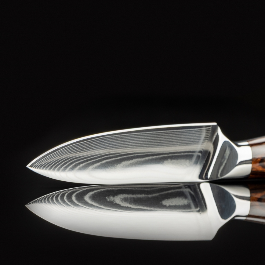 Gudaro - Cuchillo de cocina de damasco FENG 3,5, 67 capas de acero, longitud de 9,5 cm