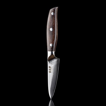 Gudaro - Cuchillo de cocina de Damasco SHIRO 3,5, 67 capas de acero, longitud 9,5 cm