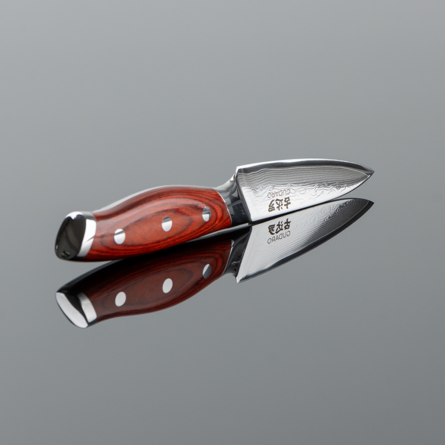 Gudaro - Cuchillo de cocina KENSHO 3,5, 67 capas de acero, longitud 9,5 cm