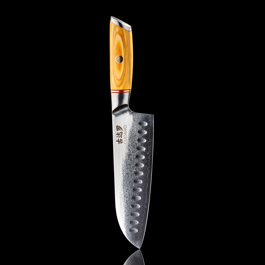 Gudaro - Cuchillo de cocina Santoku de Damasco HIKARI 7, 67 capas de acero, longitud 17,5 cm