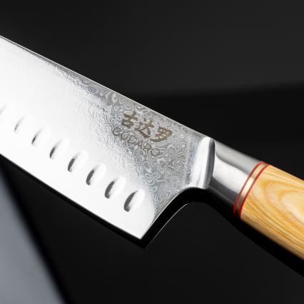 Gudaro - Cuchillo de cocina Santoku de Damasco HIKARI 7, 67 capas de acero, longitud 17,5 cm