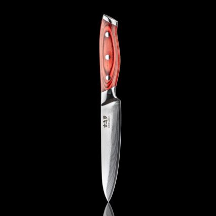 Gudaro - Cuchillo de cocina universal KENSHO 5, de damasco, 67 capas de acero, longitud 12,5 cm
