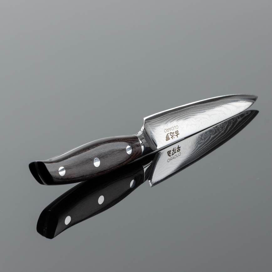 Gudaro - Cuchillo universal de cocina SHIRO 5, en acero damasco de 67 capas, longitud 12,5 cm