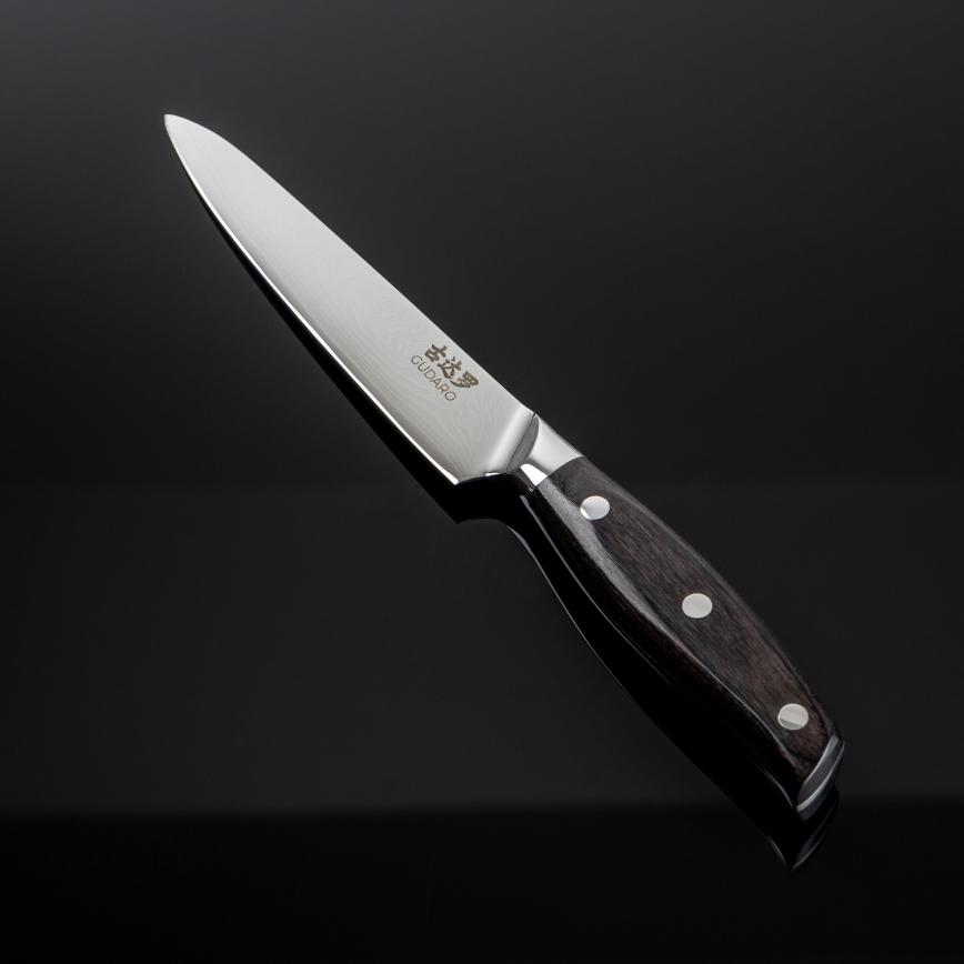 Gudaro - Cuchillo universal de cocina SHIRO 5, en acero damasco de 67 capas, longitud 12,5 cm
