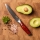 Gudaro - Cuchillo de cocina universal KENSHO 5