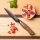 Gudaro - Cuchillo de cocina universal TAKUMI 5