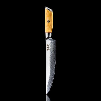 Gudaro - Cuchillo para porcionar HIKARI 8, 67 capas de acero damasco, longitud 20 cm