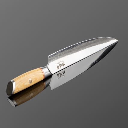 Gudaro - Cuchillo para porcionar HIKARI 8, 67 capas de acero damasco, longitud 20 cm