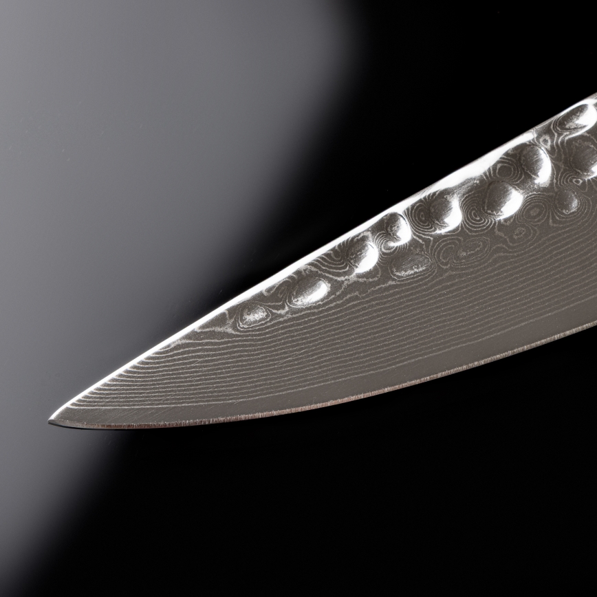 Gudaro - Cuchillo para porcionar MIYABI 8, 67 capas de acero damasco, longitud 20 cm