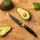 Gudaro - Cuchillo universal de cocina SHIRO 5