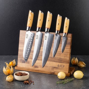 Gudaro - Juego de 5 cuchillos de cocina de acero Damasco HIKARI + soporte magnético