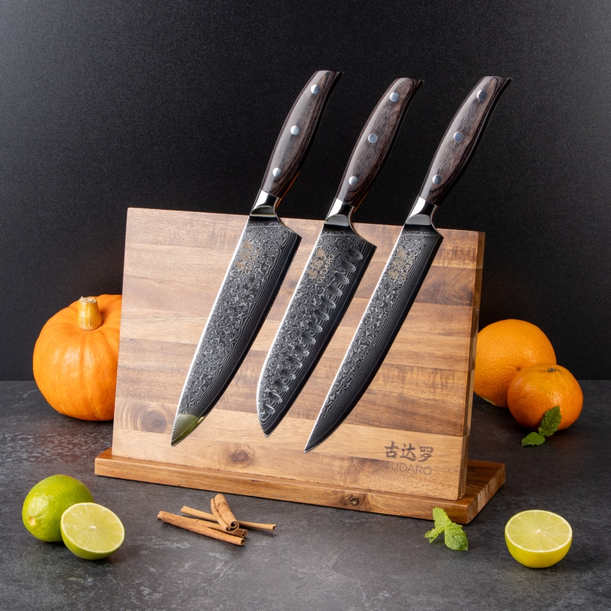 Gudaro - Juego de 5 cuchillos de cocina de acero Damasco SHIRO + soporte magnético