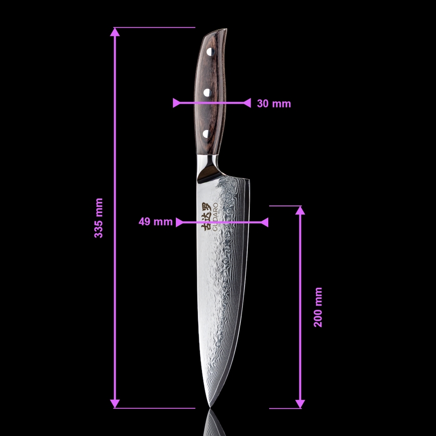 Gudaro - Juego de 5 cuchillos de cocina de acero Damasco SHIRO + soporte magnético