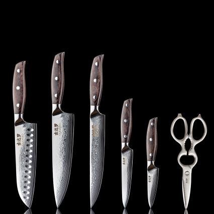 Gudaro - Juego de 5 cuchillos de cocina de Damasco SHIRO + soporte para cuchillos y tijeras para aves