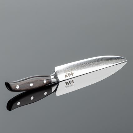 Gudaro - Juego de 5 cuchillos de cocina de Damasco SHIRO + soporte para cuchillos y tijeras para aves