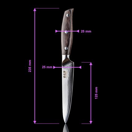 Gudaro - Juego de 5 cuchillos de cocina de Damasco SHIRO + soporte para cuchillos y tijeras para aves