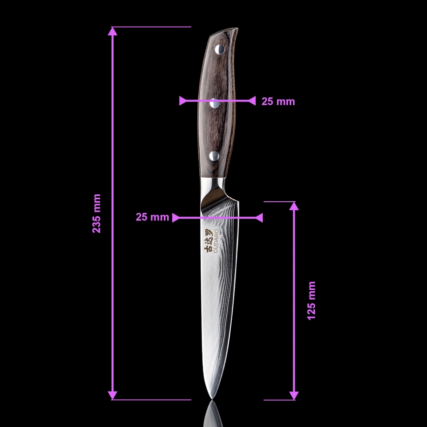 Gudaro - Juego de 5 cuchillos de cocina de Damasco SHIRO + soporte para cuchillos y tijeras para aves